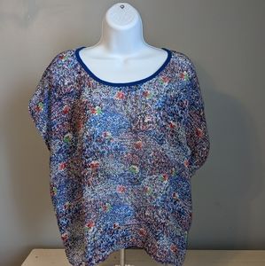 Sheer Multicolored Top
